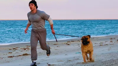 I Play Rocky: O trailer que revela como Stallone arriscou tudo